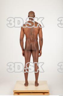 Body texture of Virgil 0027